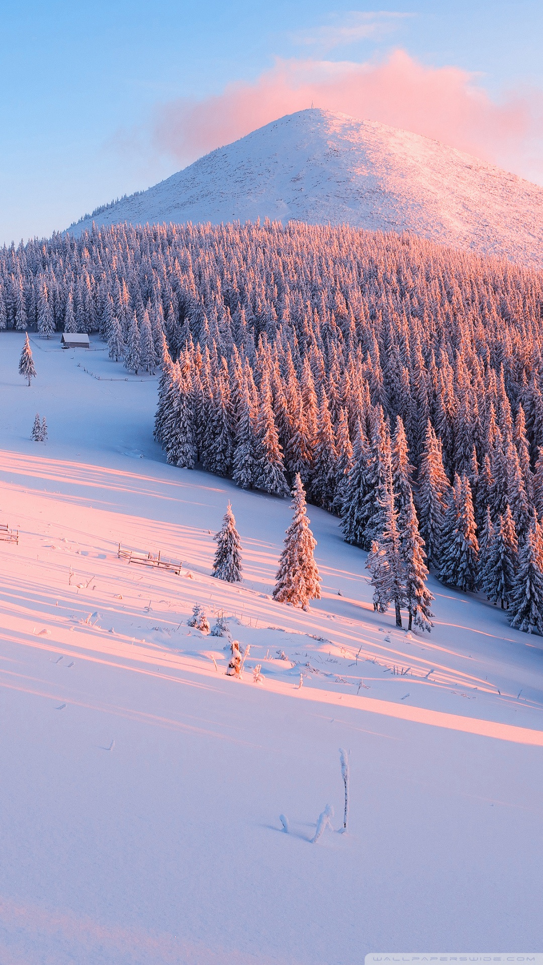 Winter, Nature Ultra HD Desktop Background Wallpaper for: Widescreen & UltraWide Desktop & Laptop, Multi Display, Dual Monitor, Tablet