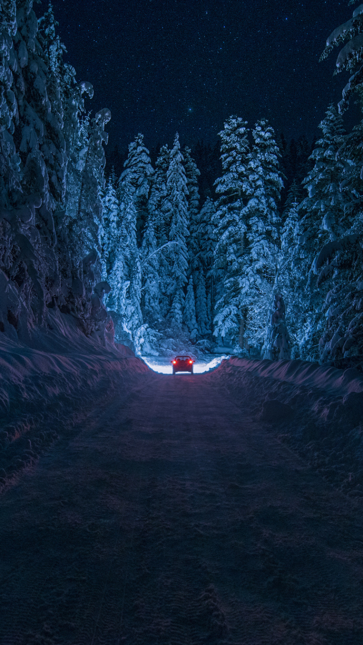 Winter Phone Wallpaper