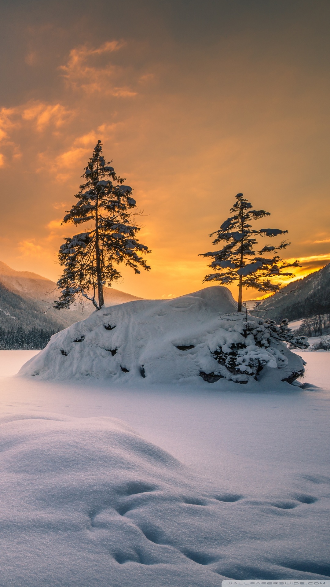 Winter, Nature Ultra HD Desktop Background Wallpaper for 4K UHD TV, Widescreen & UltraWide Desktop & Laptop, Multi Display, Dual Monitor, Tablet