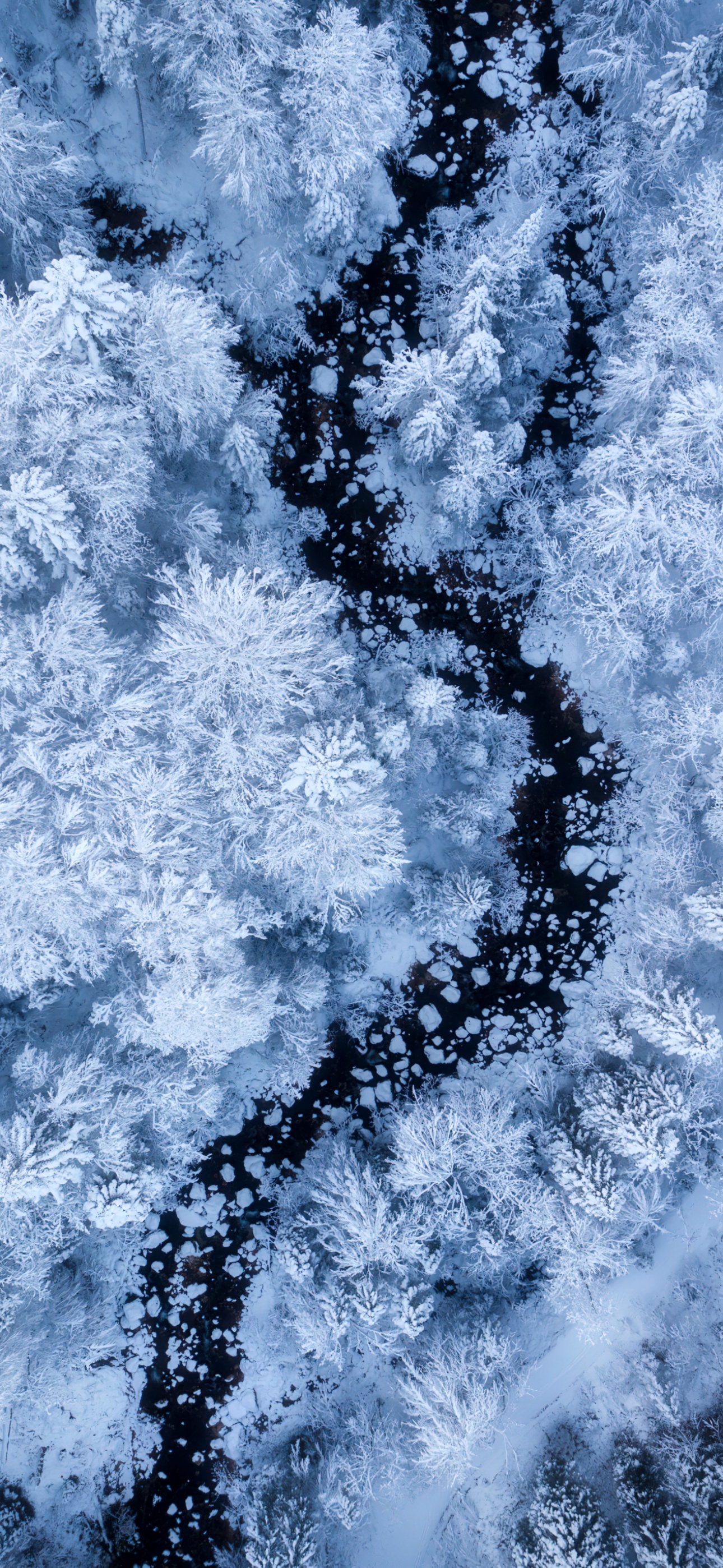 Snow covered winter forest aerial view aesthetic 4K wallpaper