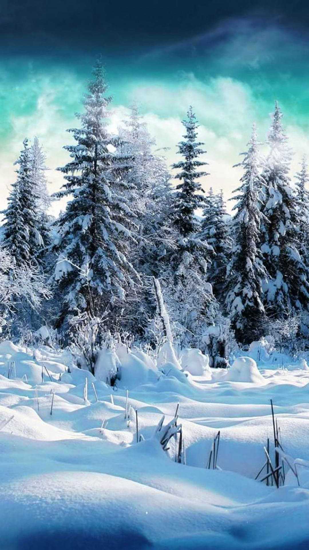 Winter Wallpaper