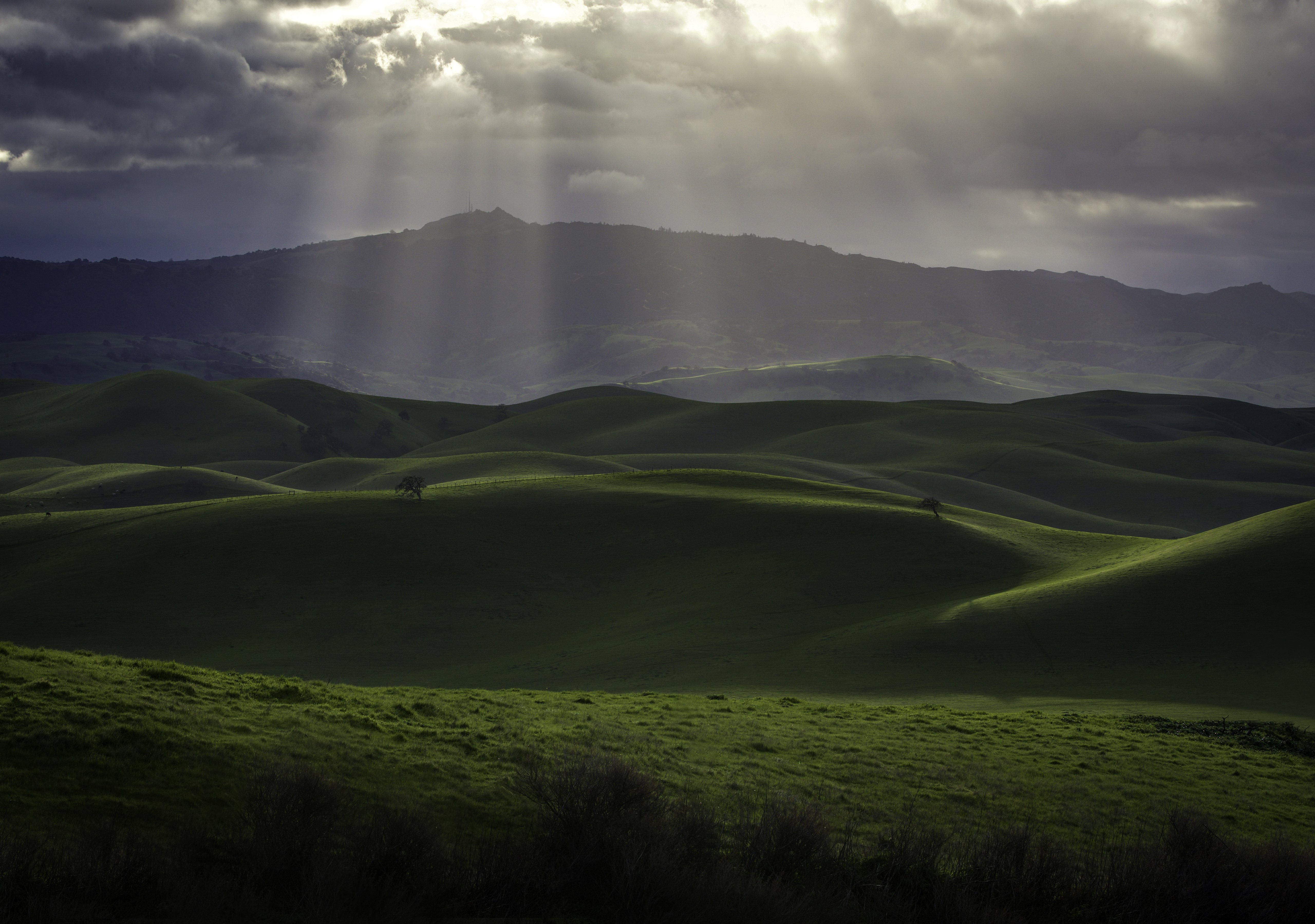 Sunlight HD Wallpaper and Background
