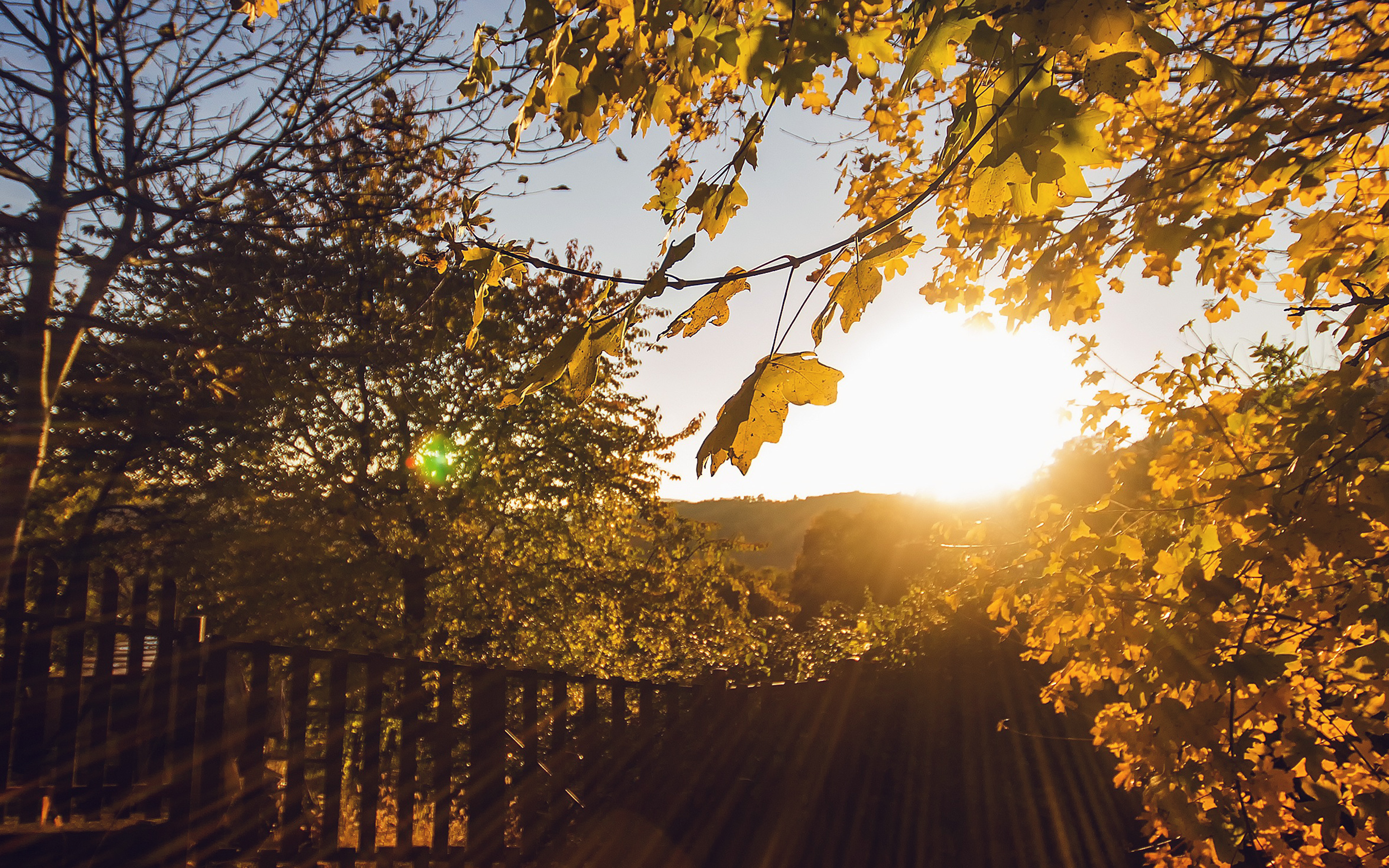 Morning Sunlight Fall Nature Wallpaper