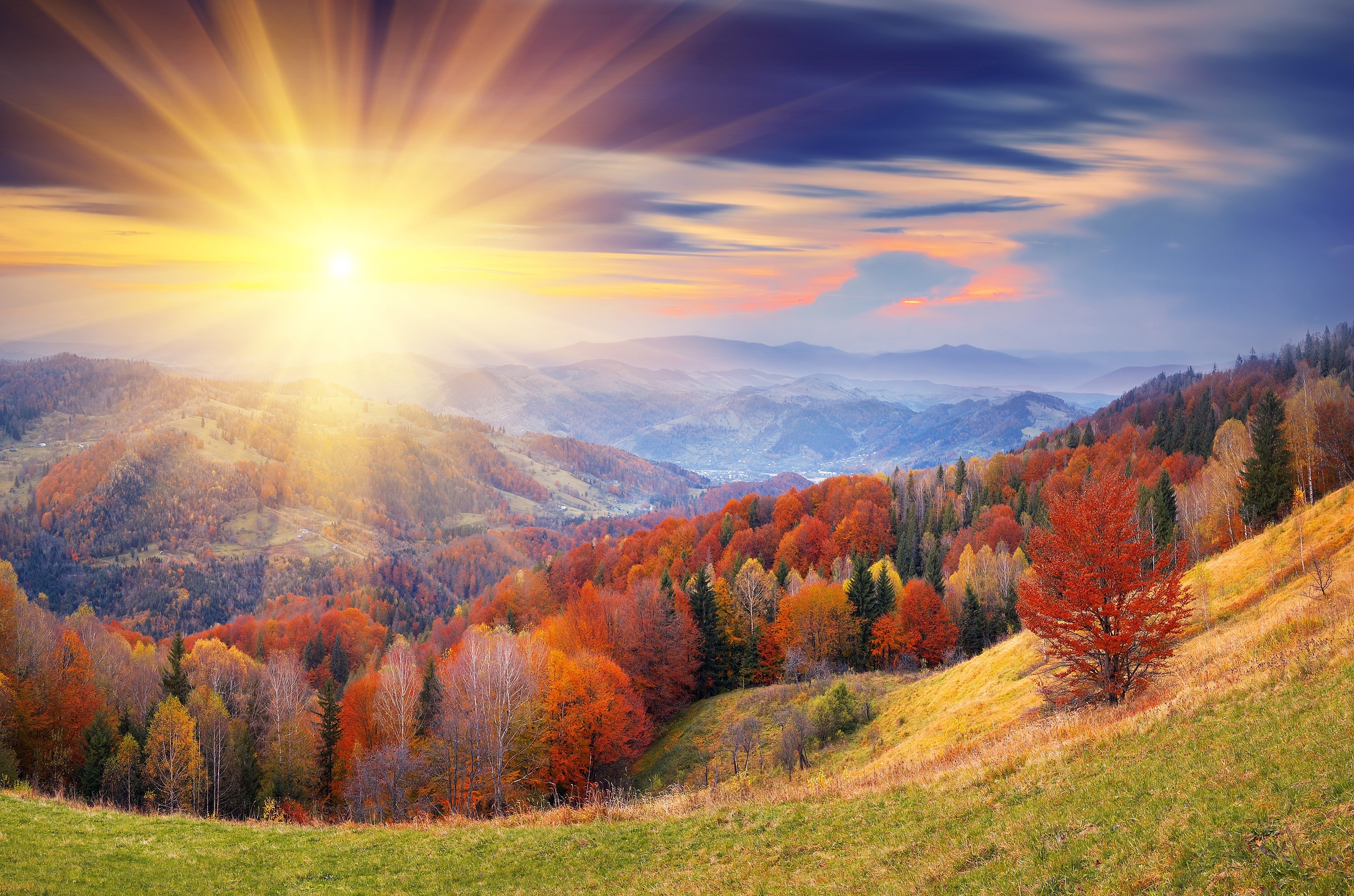 Sunshine wallpaper for desktop, download free Sunshine picture and background for PC