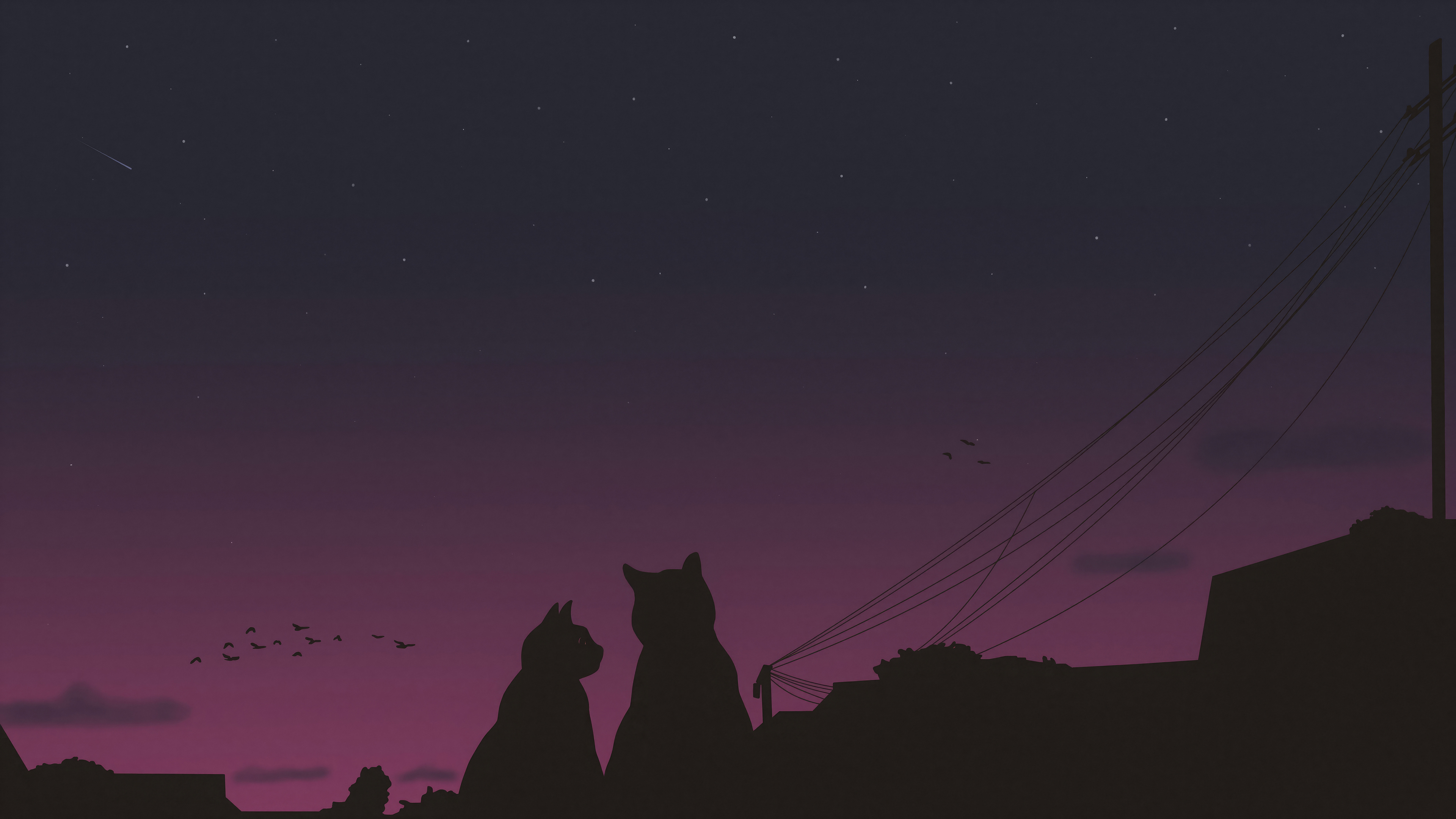 Lofi Late Night Cats 4k HD 4k Wallpaper, Image, Background, Photo and Picture