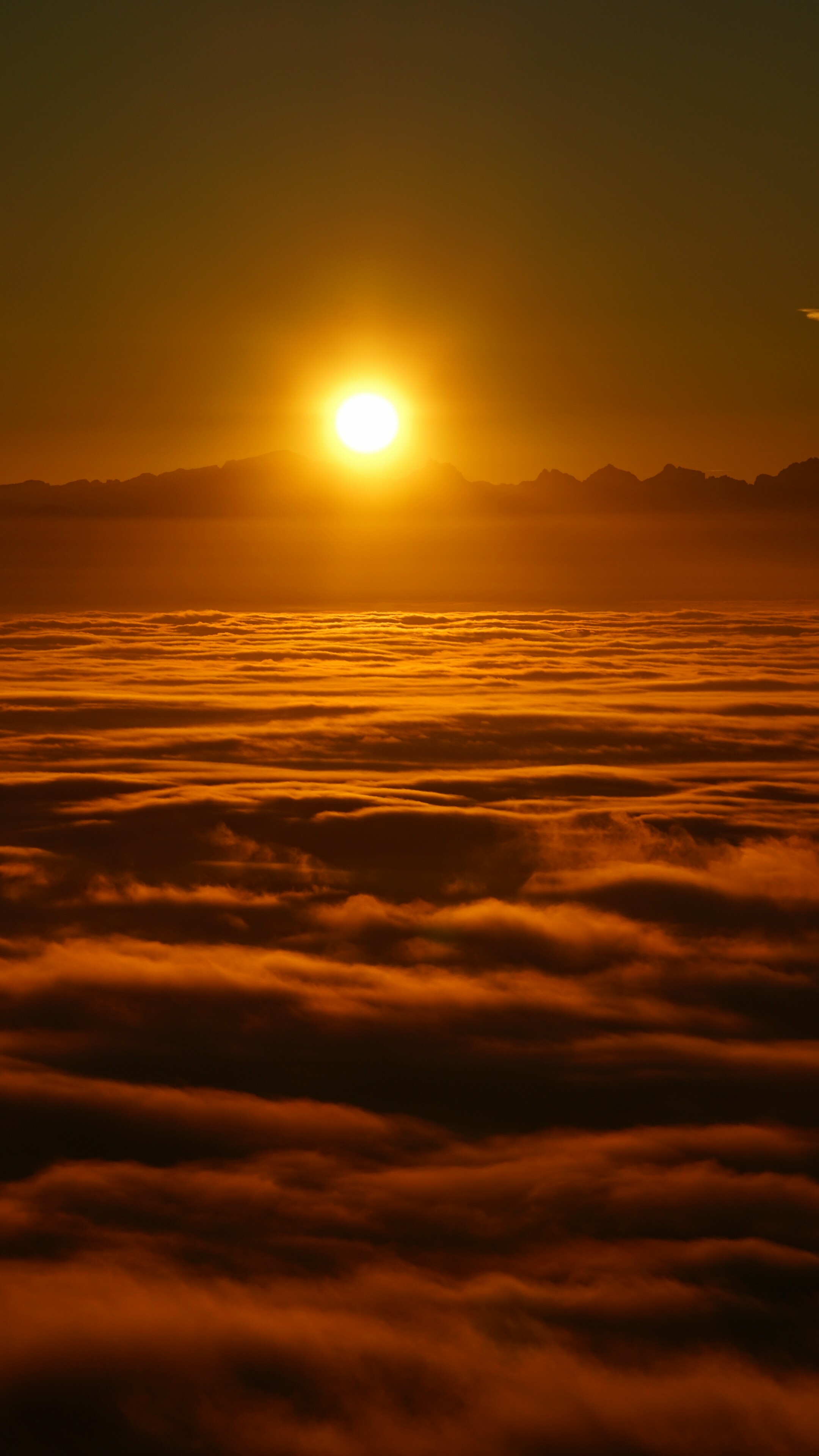 Sun Wallpaper (image inside)