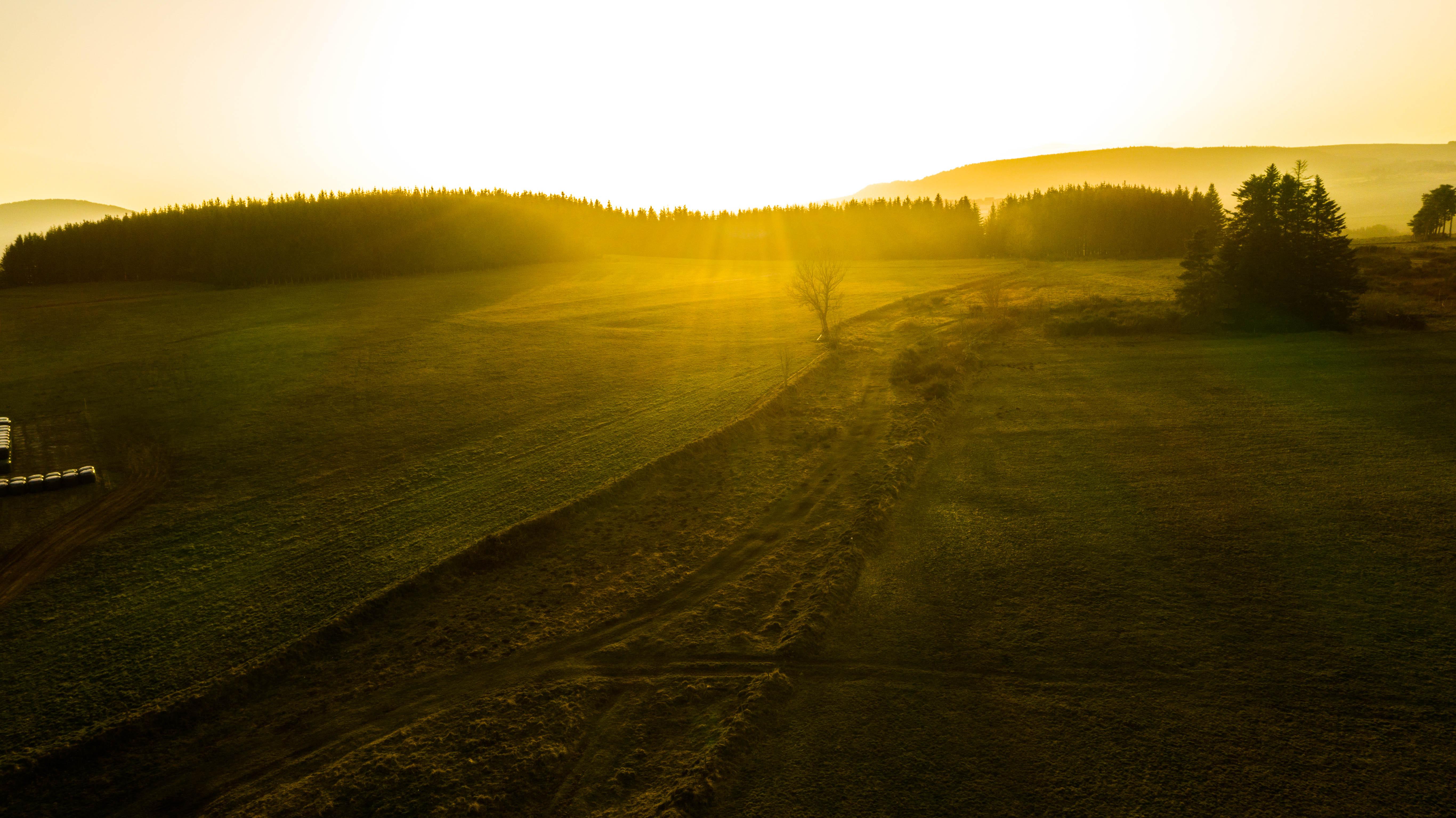 Sunshine 4K wallpaper for your desktop or mobile screen free and easy to download