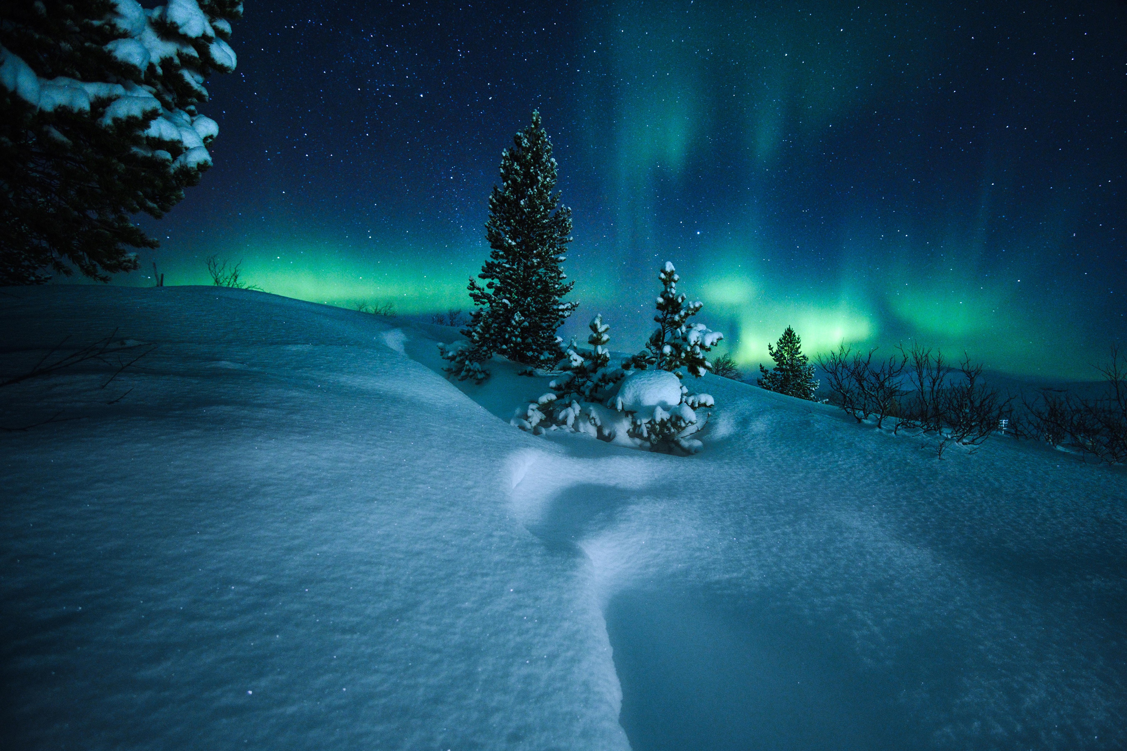 HD desktop wallpaper: Winter, Stars, Night, Snow, Earth, Aurora Borealis download free picture