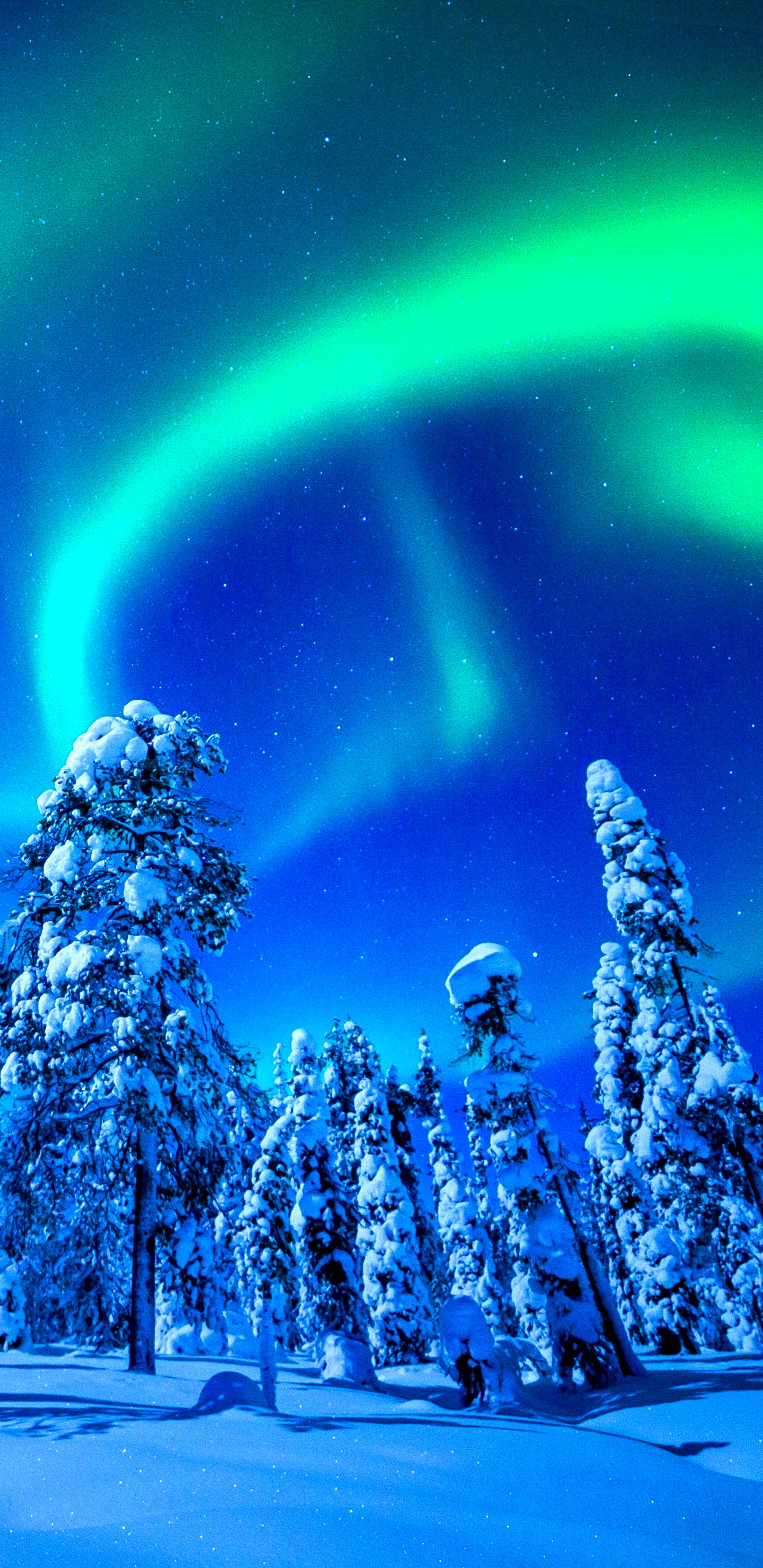 Aurora Borealis Wallpaper Download