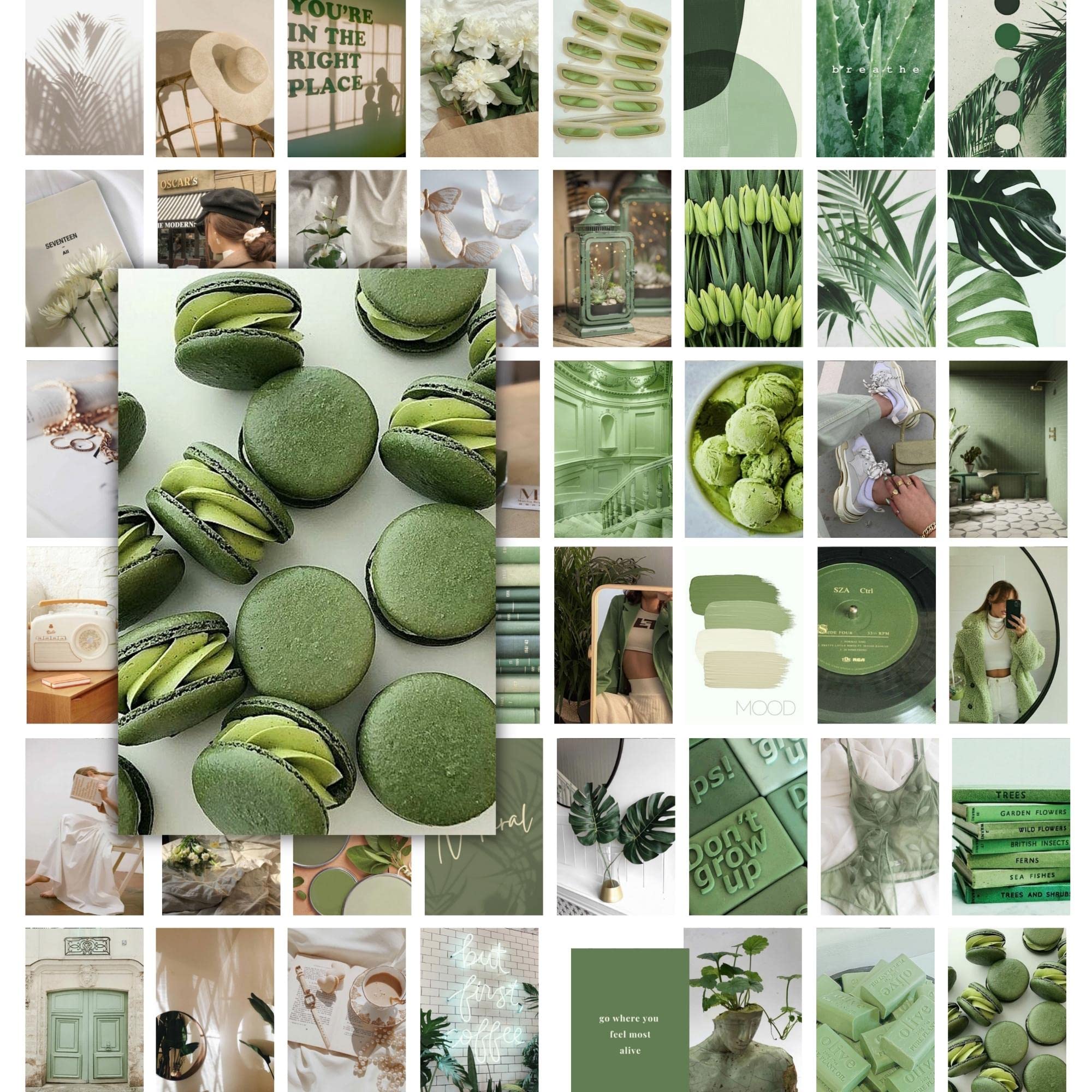 Jack Meets Kate Sage Green Room Decor Aesthetic, Wall Collage Kit for