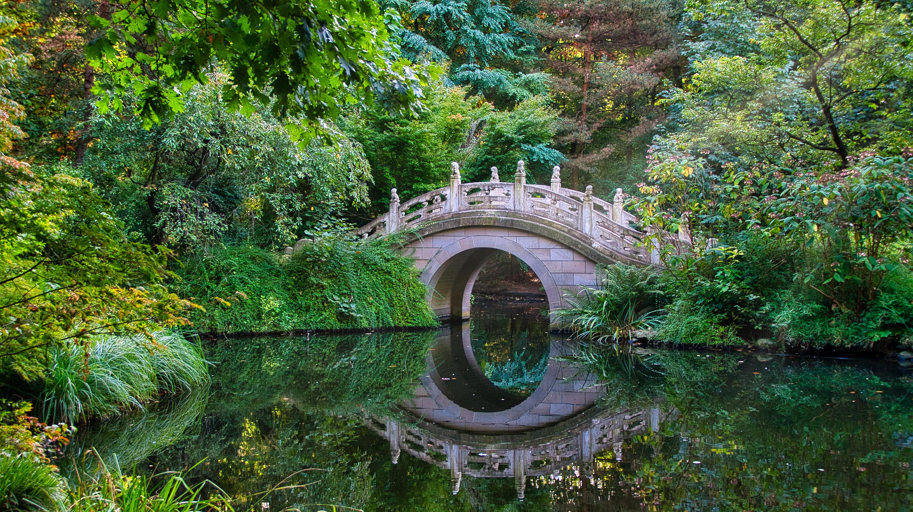 Bridge of the chinese garden in duisburg zoo [3000x1684]