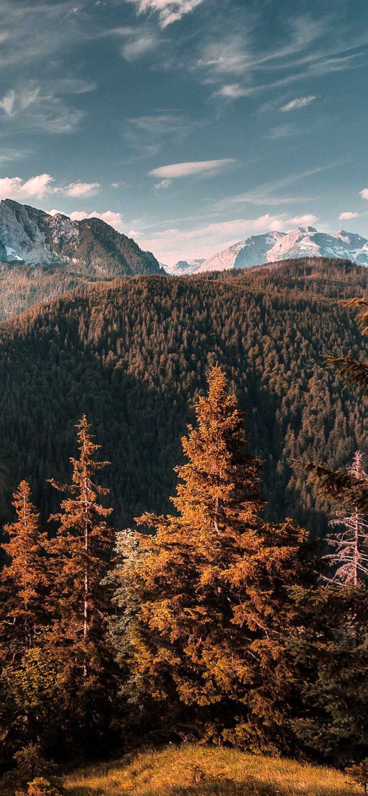 Wallpaper for iPhone 12, iPhone 11