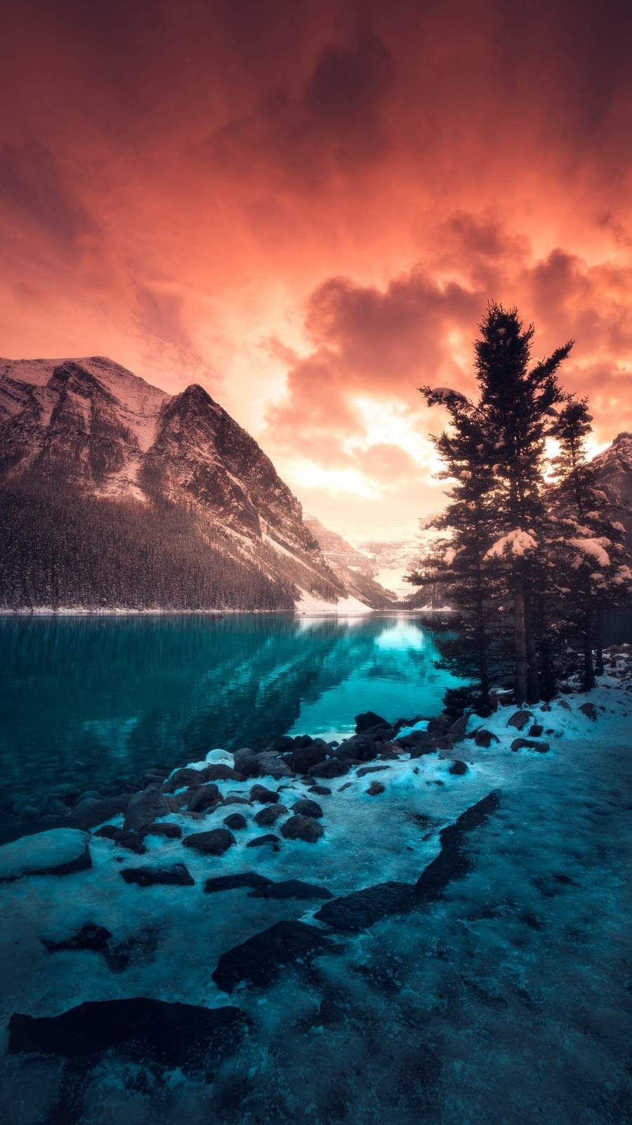 Frosted Nature iPhone Wallpaper. Nature iphone wallpaper, Landscape photography, Landscape