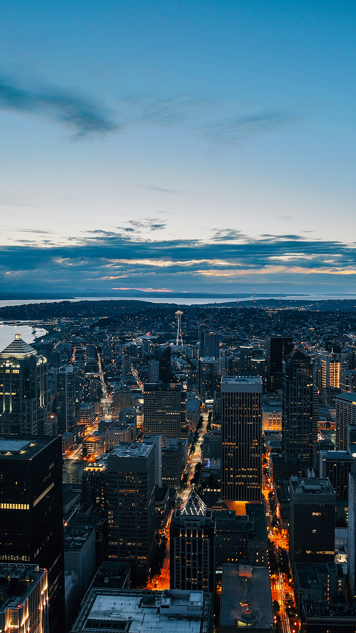 iPhone X wallpaper. night sky fly sanfrancisco usa sea