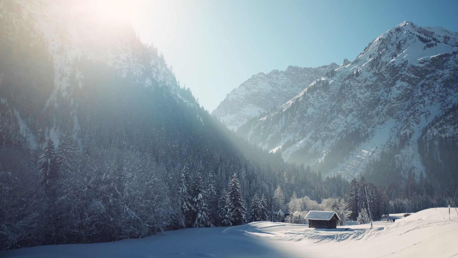 Download wallpaper: Cottage in Winter landscape 1920x1080