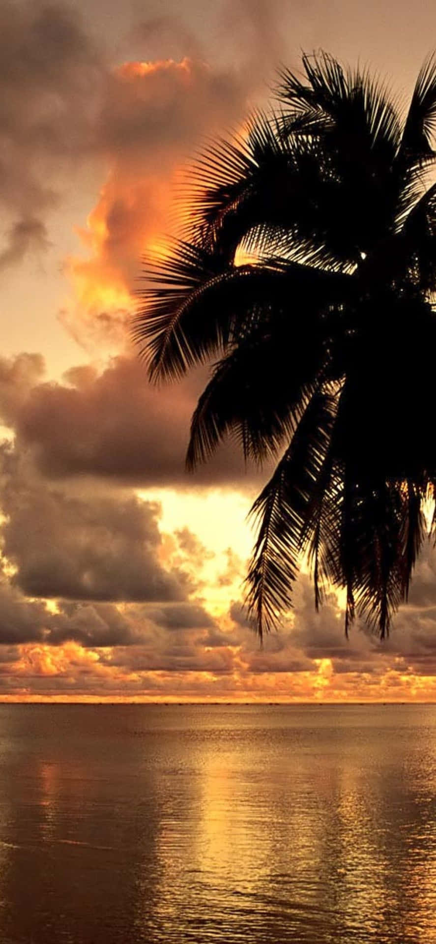 Download Enjoy the beauty of Hawaii with your trusty iPhone Wallpaper