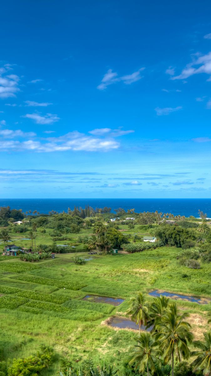 Download these scenic Hawaii wallpaper for your phone