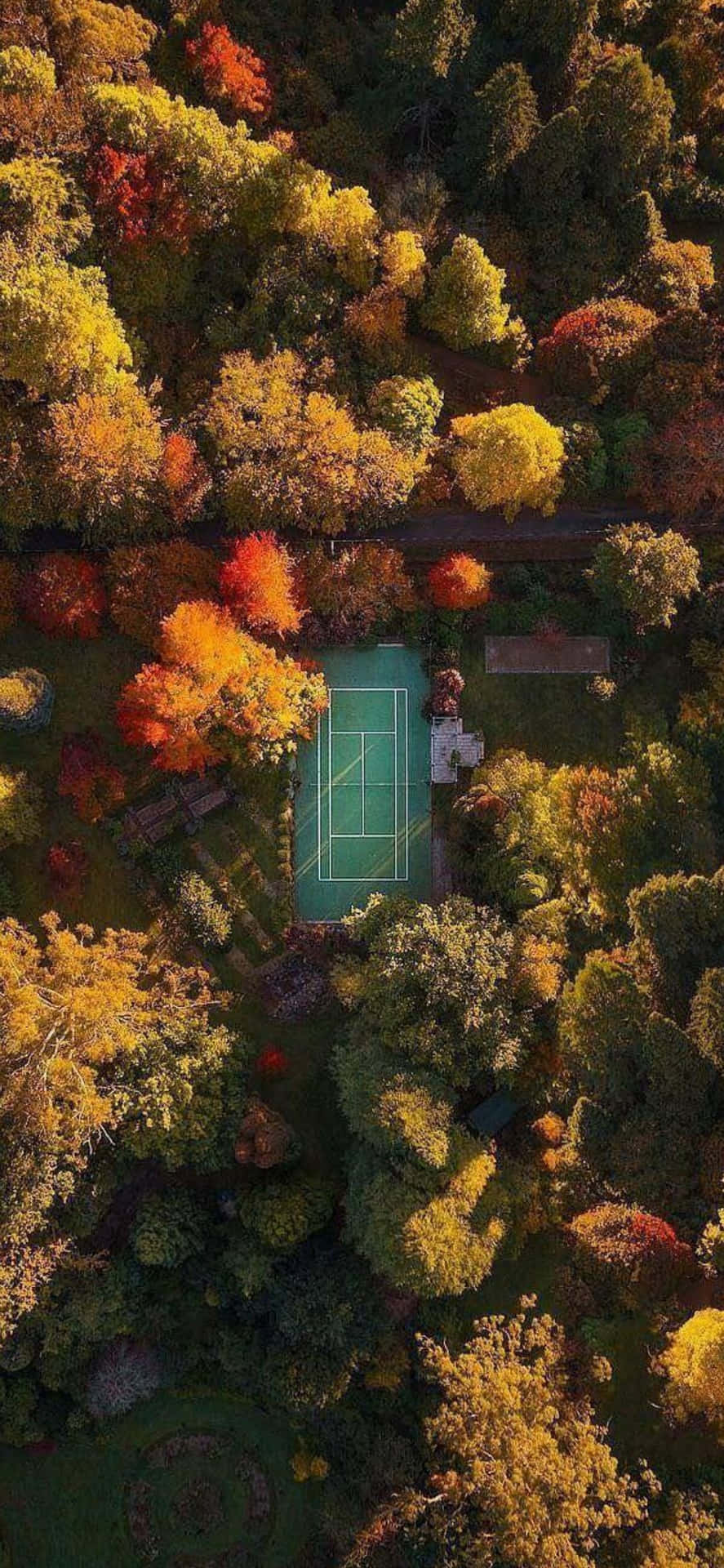 Download iPhone Xs Tennis Background