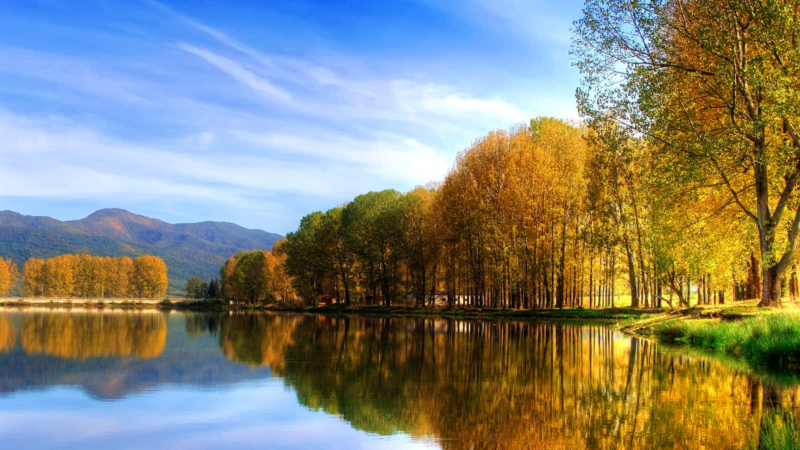 Download Fall Lake With Trees And Mountain Landscape Wallpaper