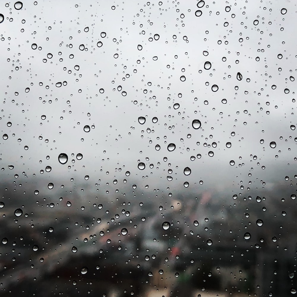 Rain Drops Picture. Download Free Image