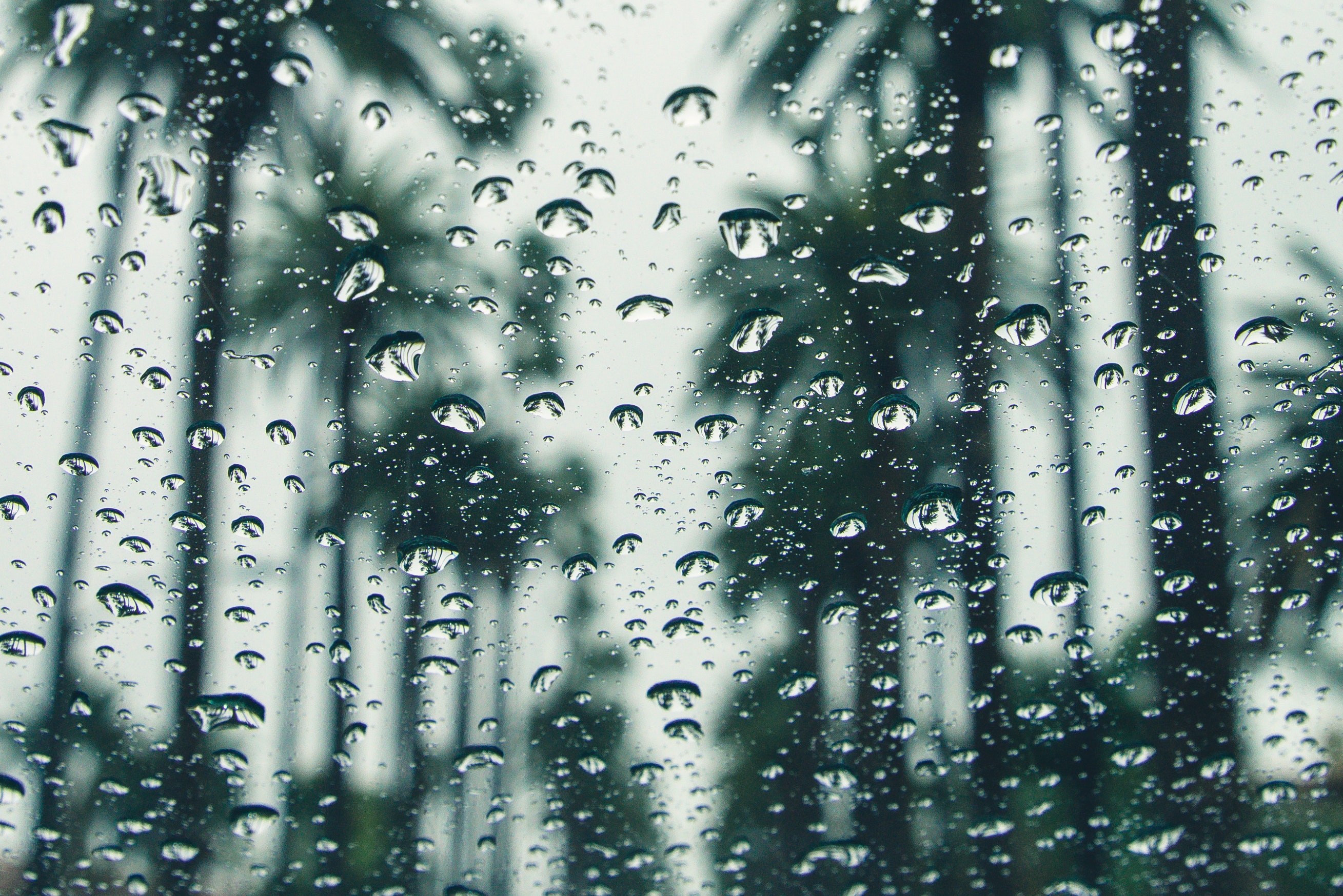 Rain Background Photo, Download The BEST Free Rain Background & HD Image