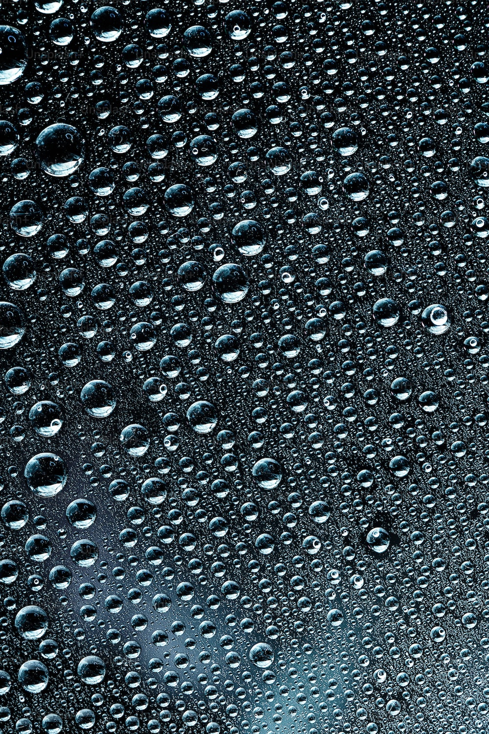 Rain Effect Picture. Download Free Image