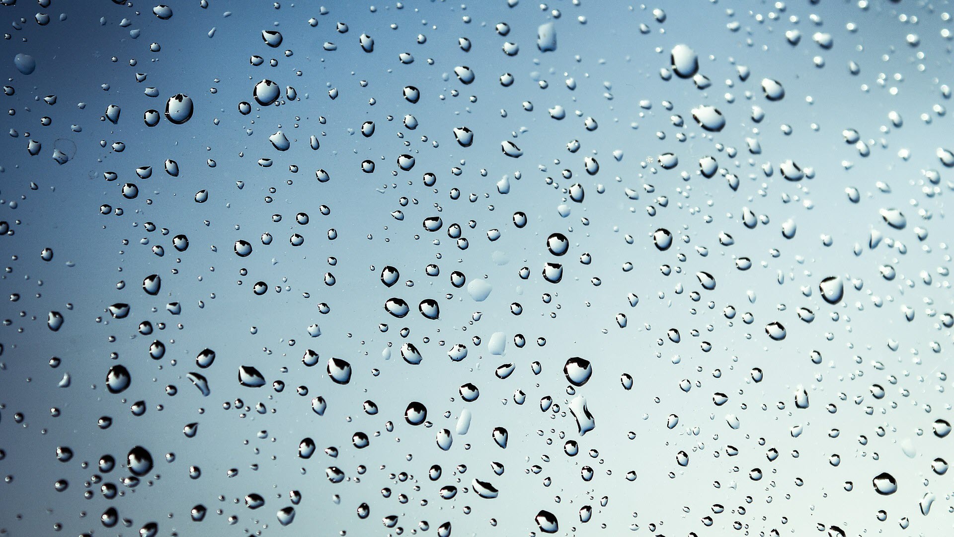 Download FREE Rain Wallpaper