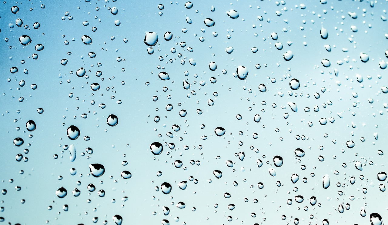 Free Rain Drops & Rain Image