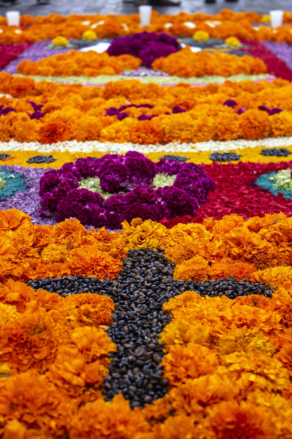 Cempasuchil Picture. Download Free Image