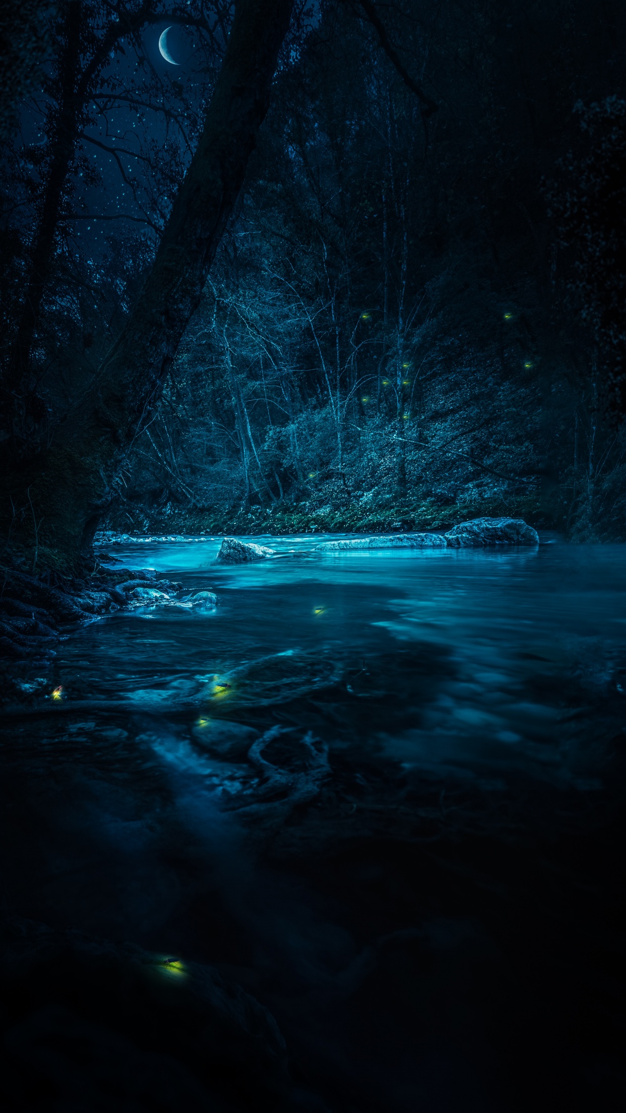 Forest Wallpaper 4K, River, Night, Dark, Magical