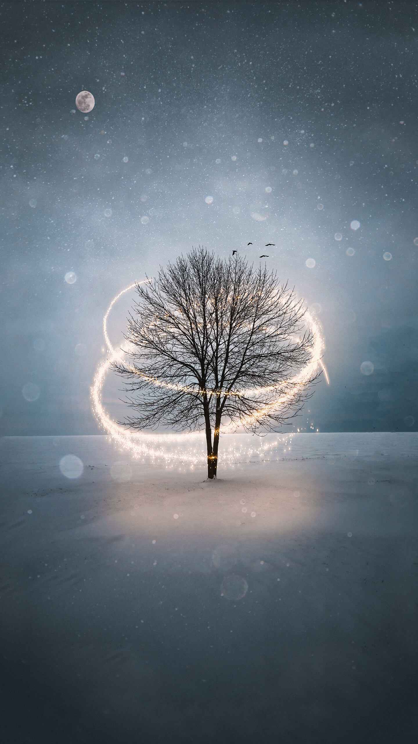 Winter Magic iPhone Wallpaper