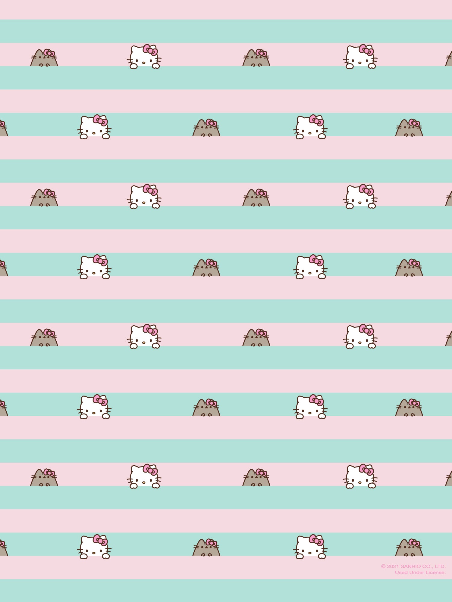 Hello Kitty x Pusheen