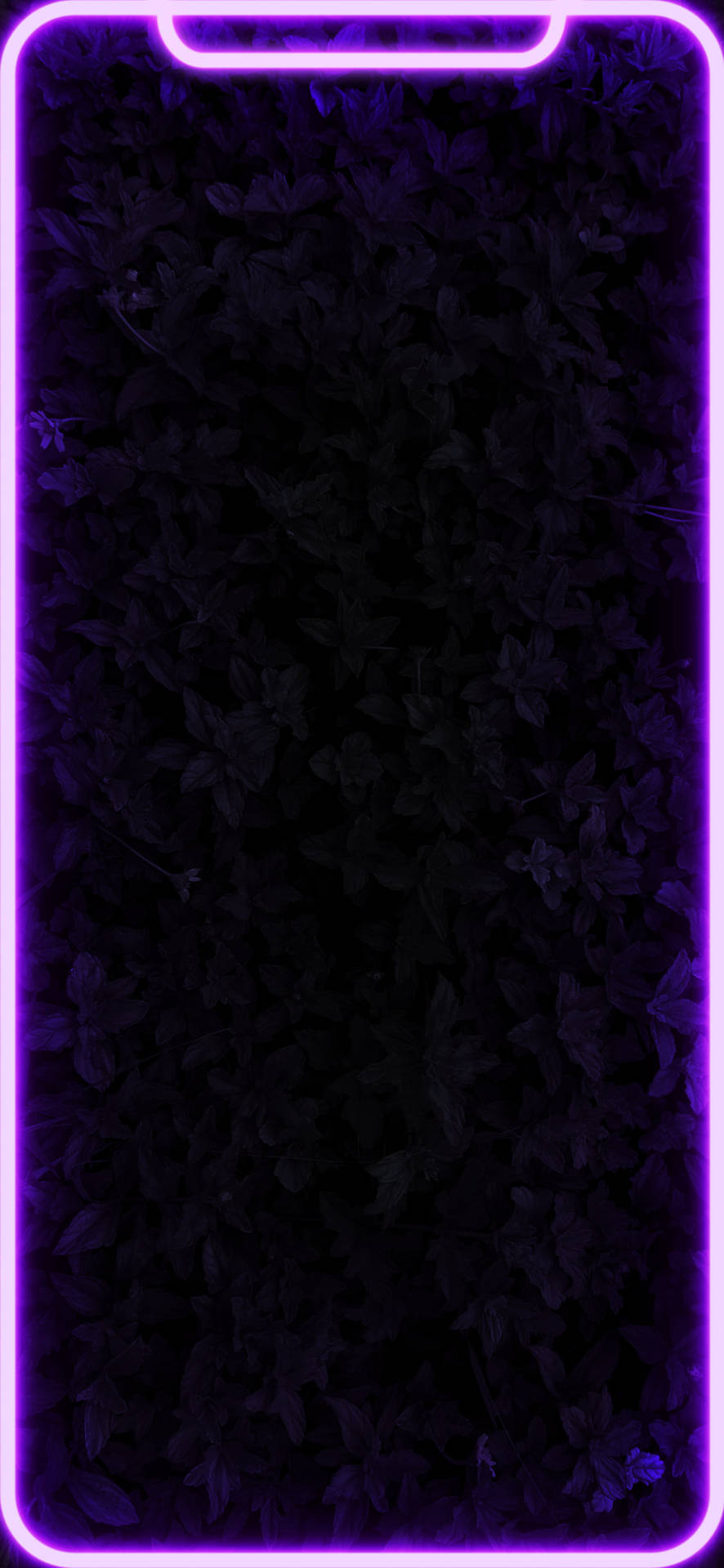 Download Glowing Black And Purple Aesthetic Phone Wallpaper
