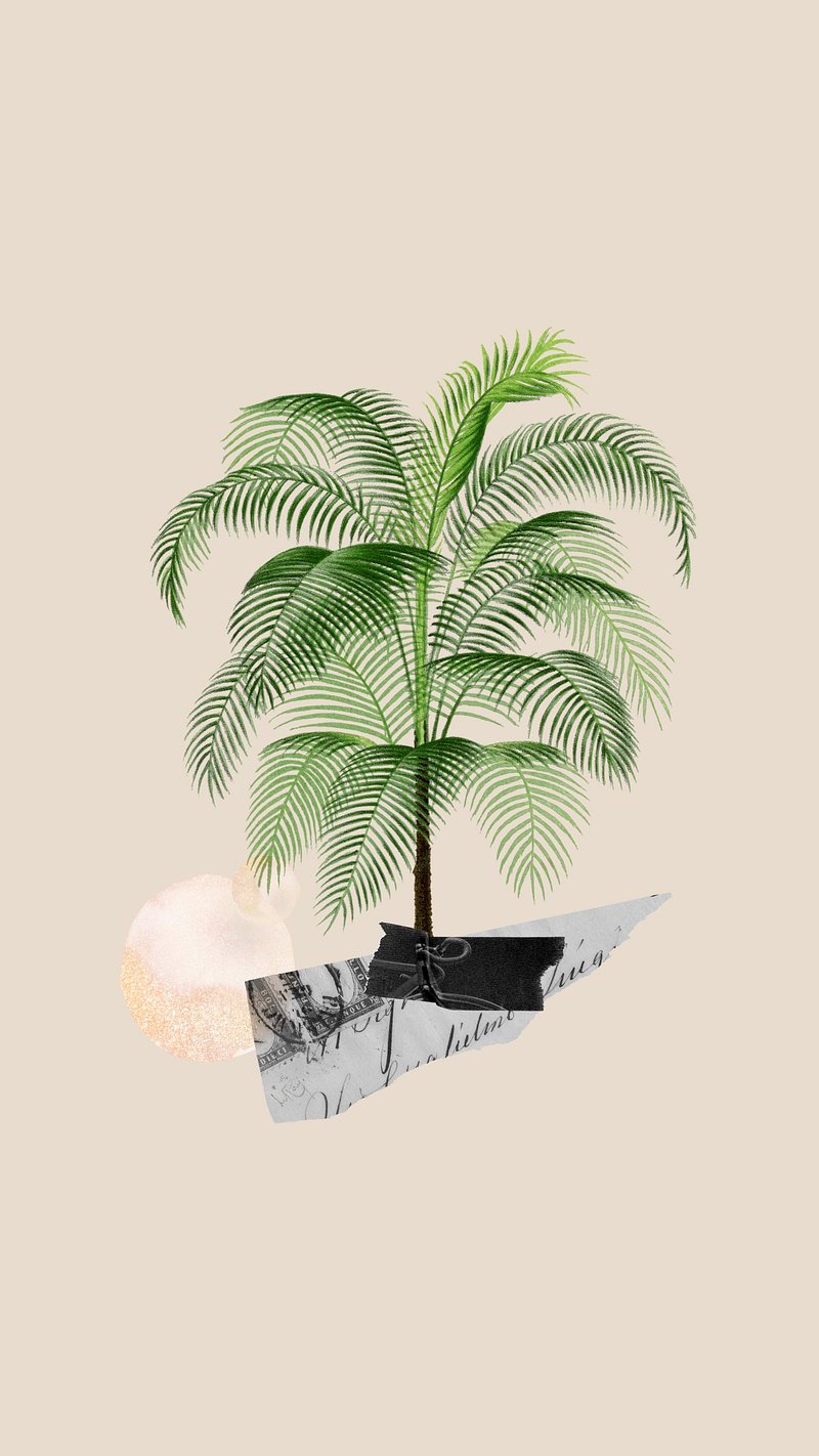 Minimal iPhone Wallpaper Wallpaper