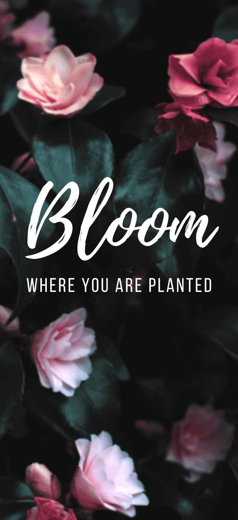 Easter & Spring Phone Wallpaper