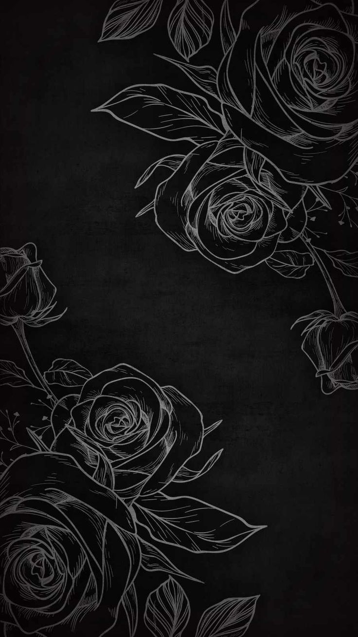 iPhone Wallpaper for iPhone 12, iPhone