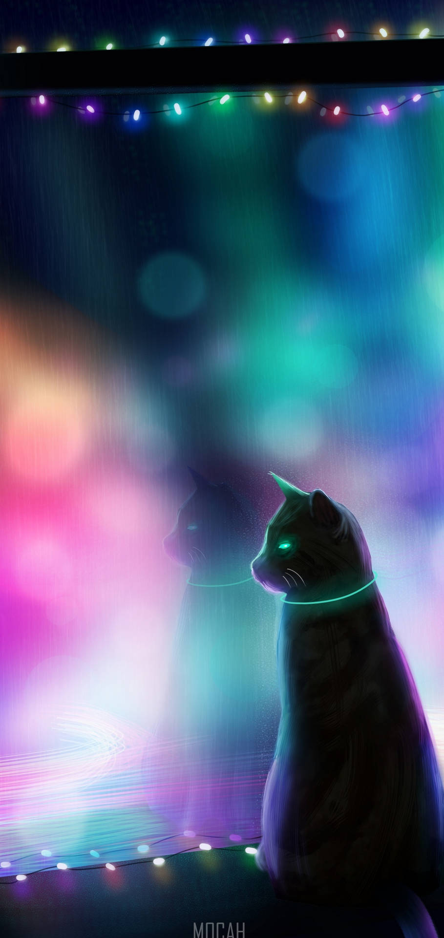 iPhone 12 Pro Max Black Cat Wallpaper