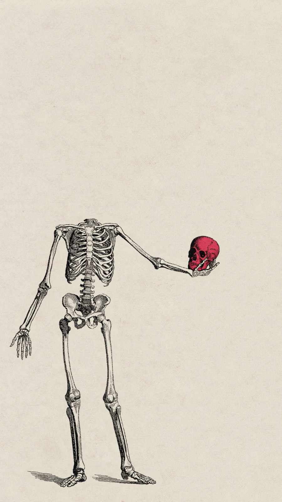 Skeleton Art iPhone Wallpaper