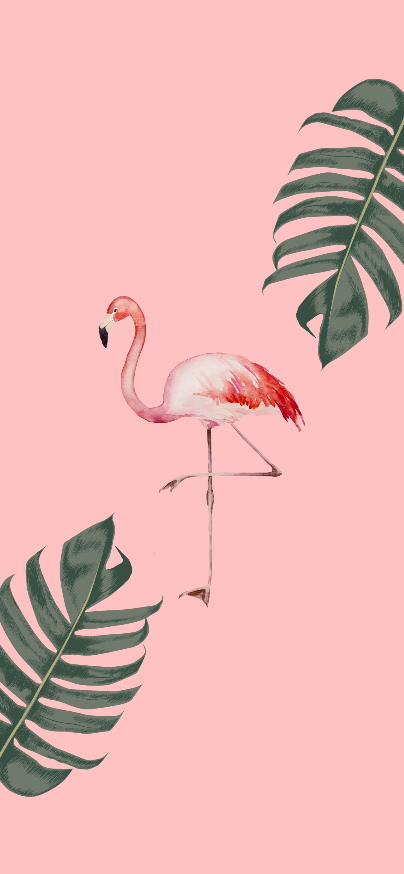 Summer Wallpaper for iPhone