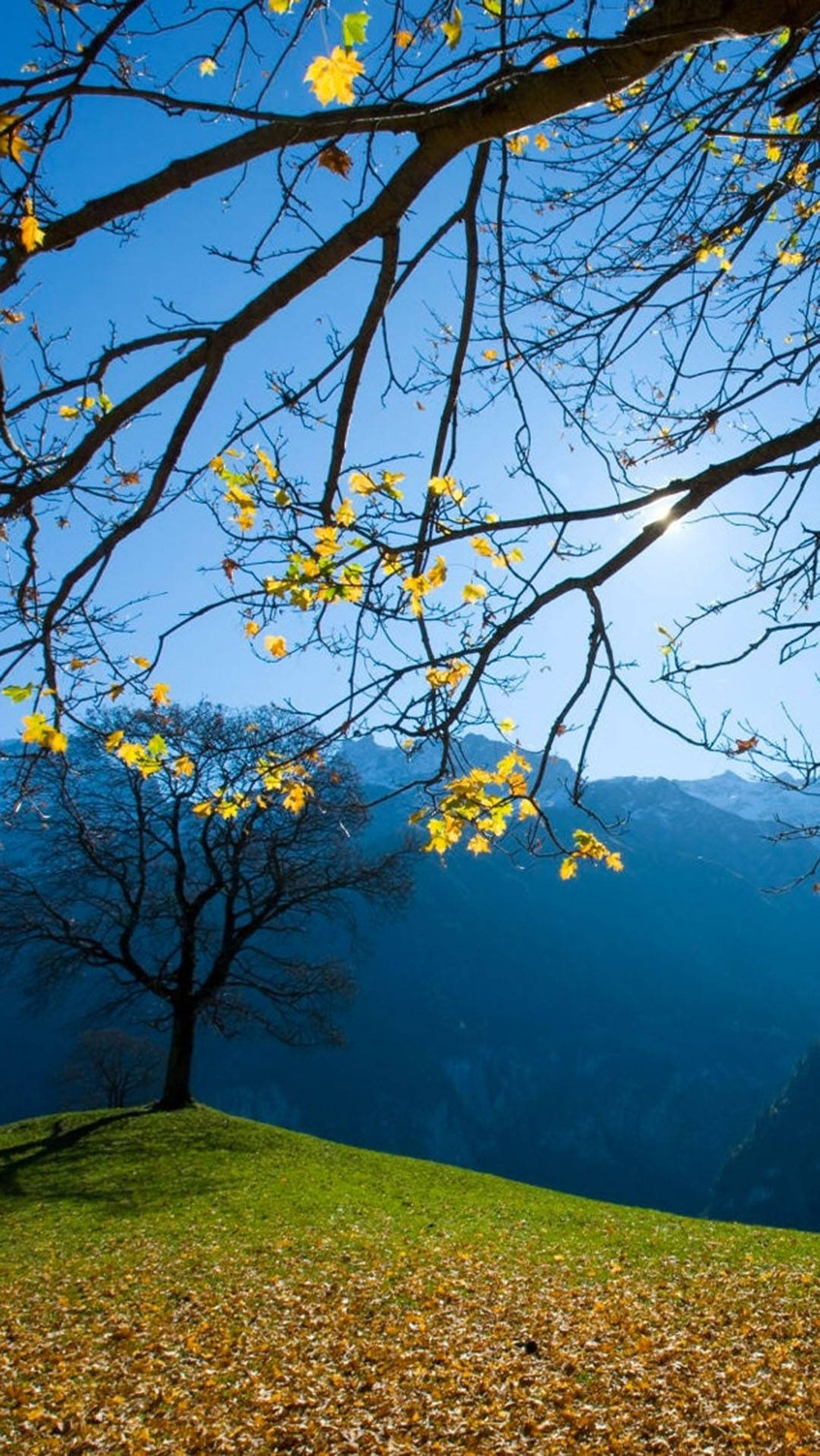 Schachental Switzerland Wallpaper