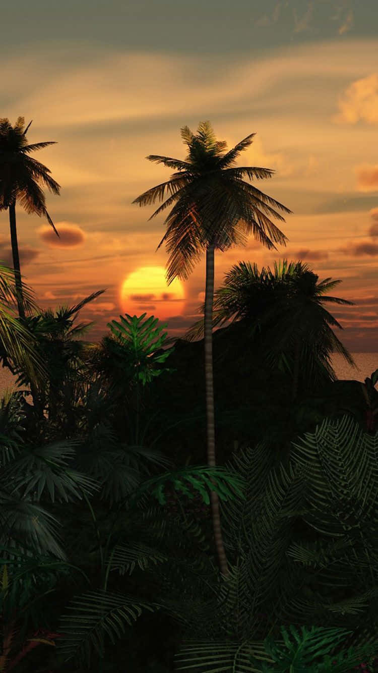 Download A Tropical Scene With Palm Trees And A Sunset Wallpaper