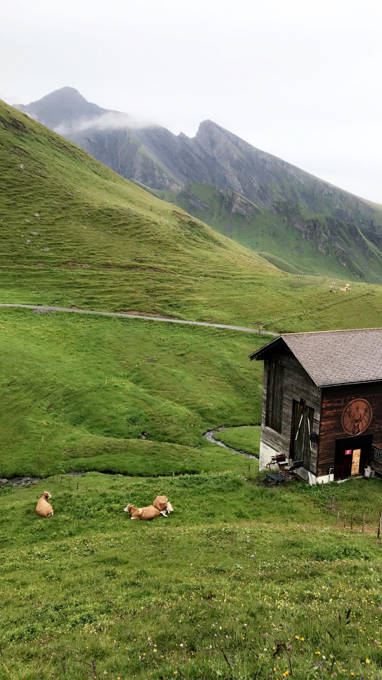 Grindelwald, Switzerland. Shot by iPhone 7 plus