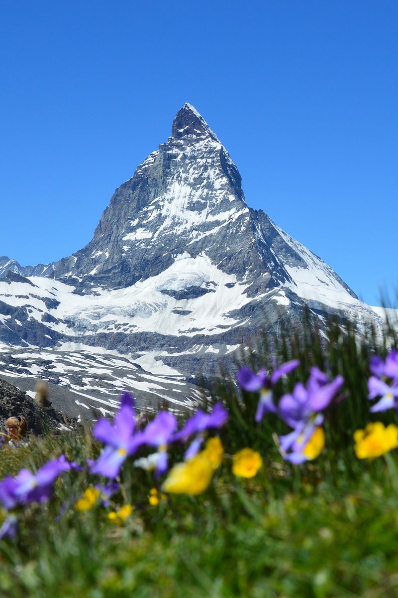 Download Wallpaper 800x1200 Switzerland, Matterhorn, Alps, Zermatt, Mountains Iphone 4s 4 For Parallax HD Background