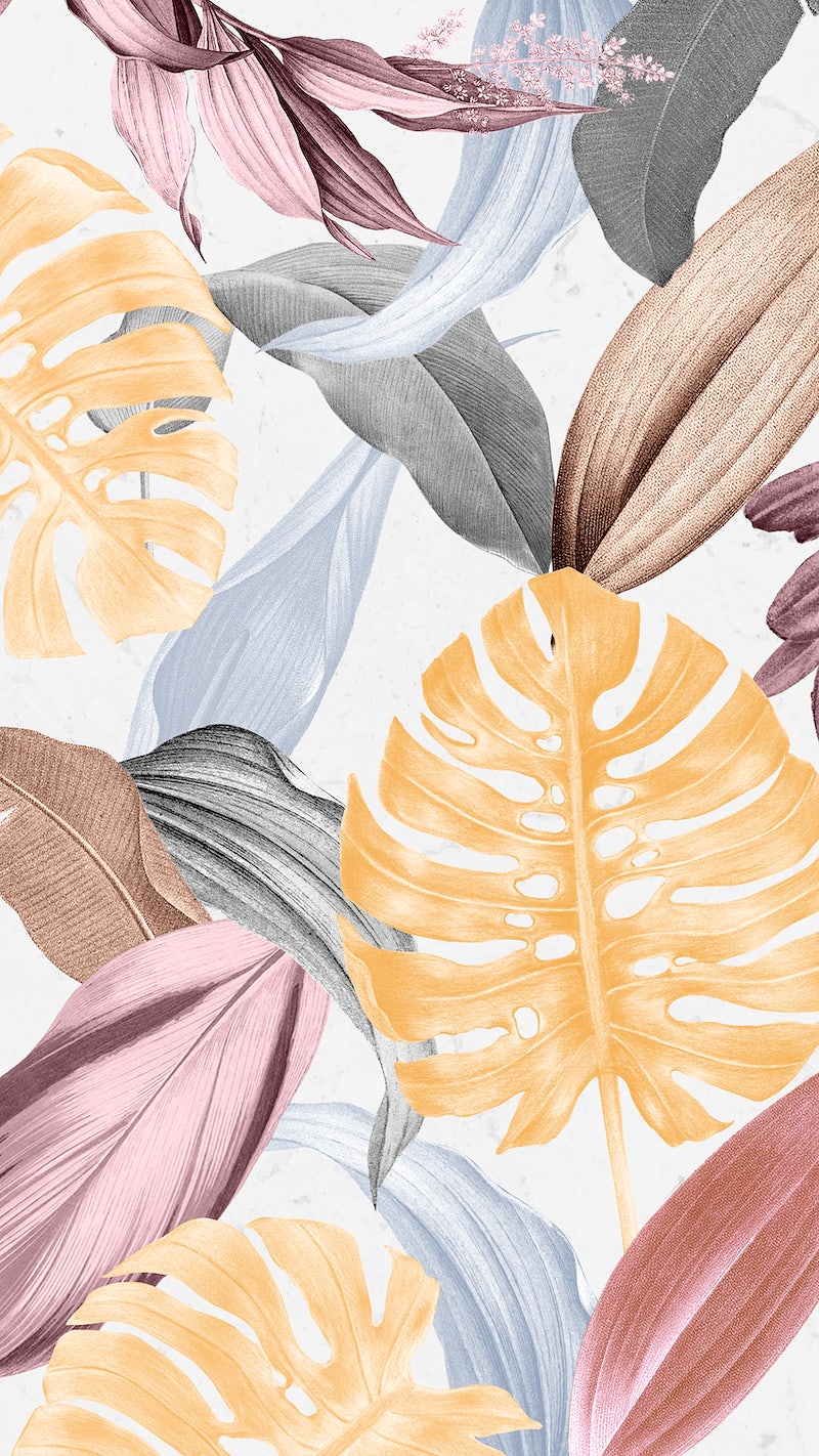 Monstera iPhone Wallpaper Image Wallpaper