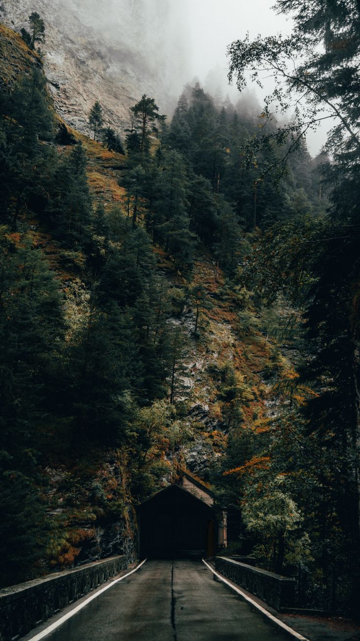 Earth Landscapes and brown house painting Switzerland [OC] [2584 4592]. Forest wallpaper, Phone background wallpaper, Nature photography