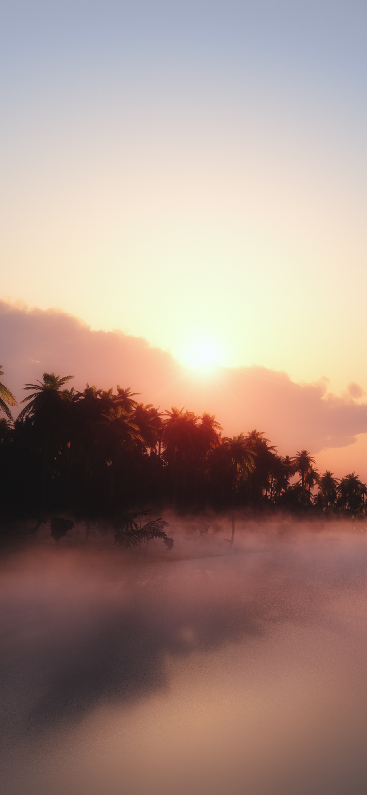 Sunrise Wallpaper 4K, Palm trees, Mist, Foggy, Tropical