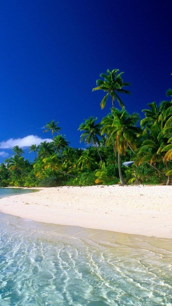 Tropical Beach Wallpaper Download