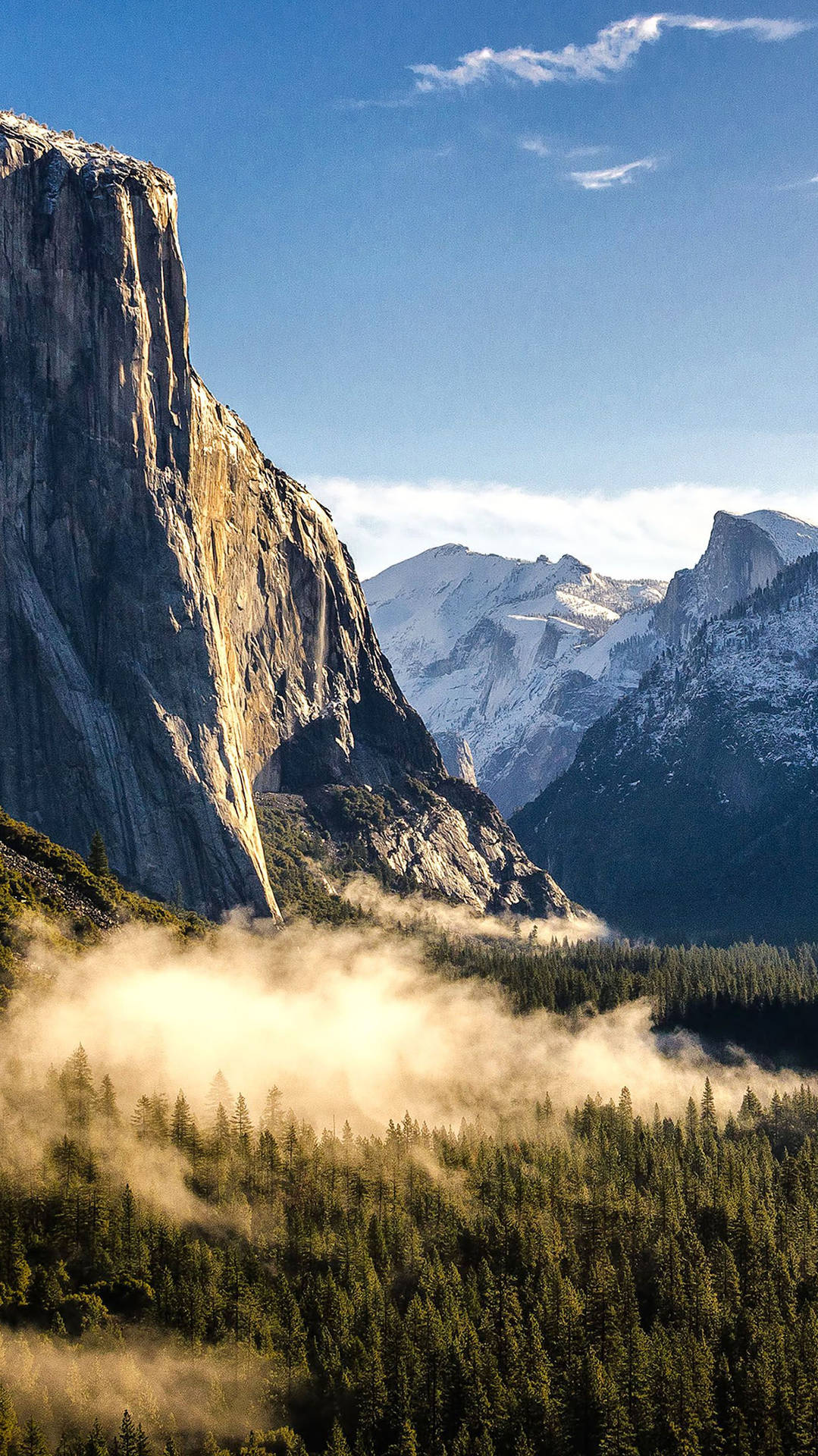 Download Enjoy Nature In All Its Glory From Your iPhone In Yosemite National Park Wallpaper