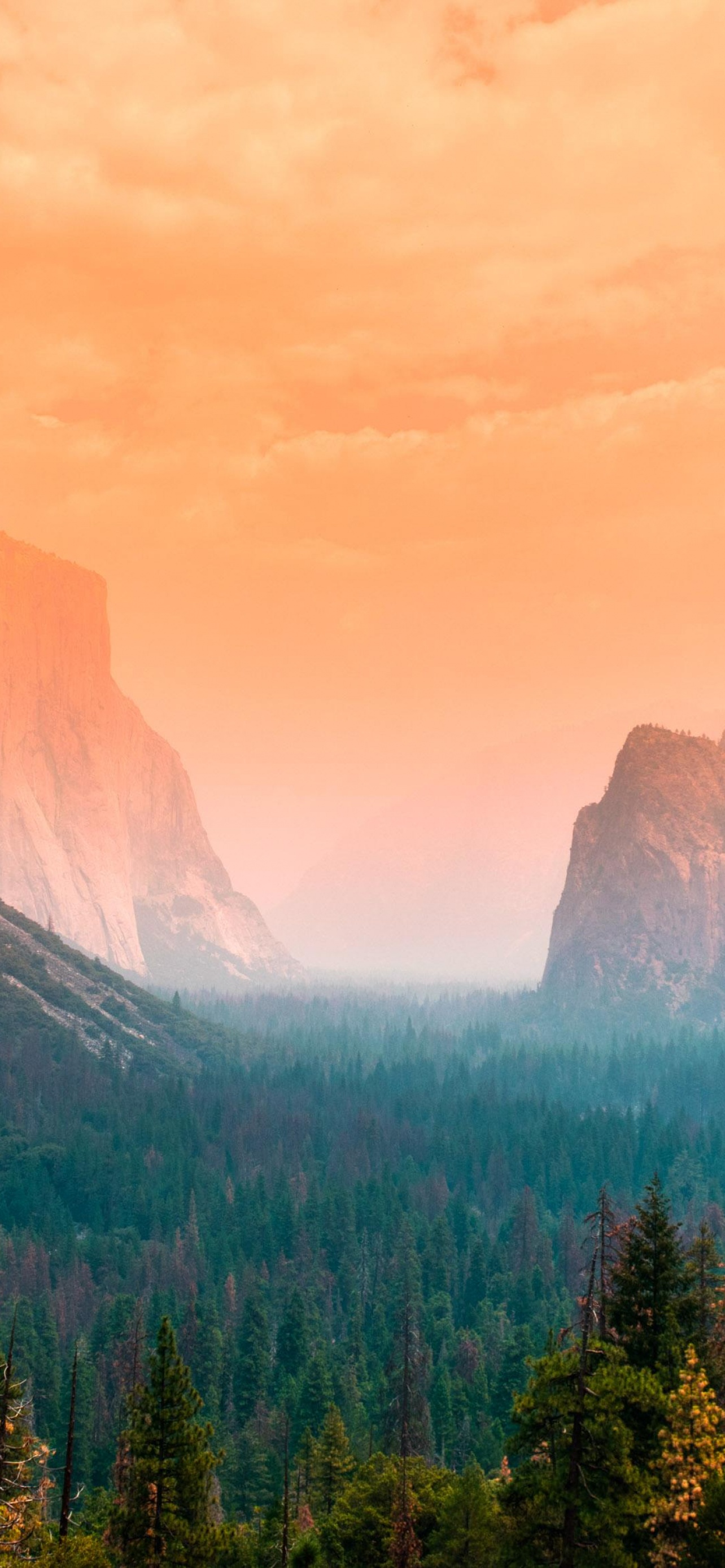 Yosemite Valley Wallpaper 4K, Summer, Green Trees, Orange sky