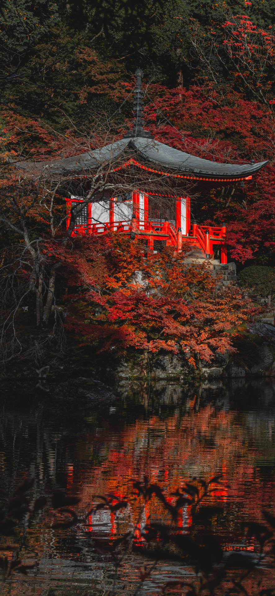 Spring Red Home iPhone 13 Pro Wallpaper